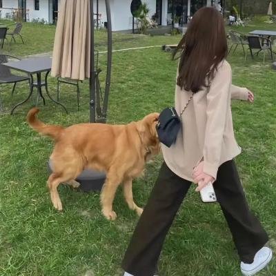 狼灾记